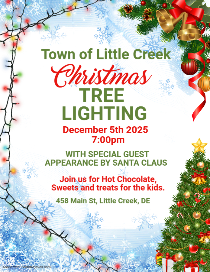Tree Lighting 2025